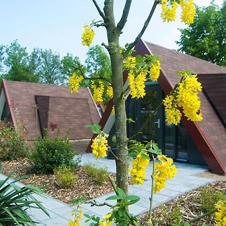 Bij Het Buitengoed Rijsbergen エクステリア 写真